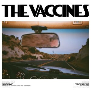 Vaccines – Pick-Up Full Of Pink Carnations CD