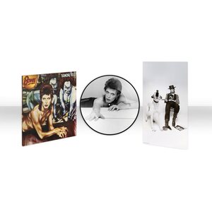 David Bowie – Diamond Dogs (50th anniversary) LP Picture Disc