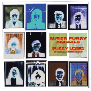 Super Furry Animals – Fuzzy Logic (B-Sides & Besides) LP Coloured Vinyl