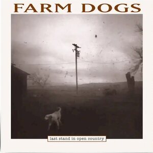 Farm Dogs – Last Stand In Open Country 2LP