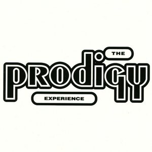 Prodigy ‎– Experience 2LP