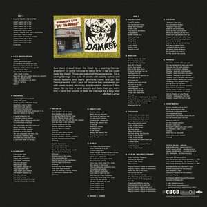 Damage – Recorded live off the board at CBGB LP Coloured Vinyl