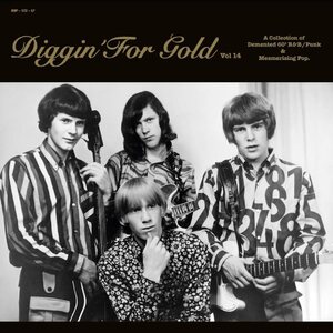 Various Artists – Diggin' For Gold Vol.14 LP