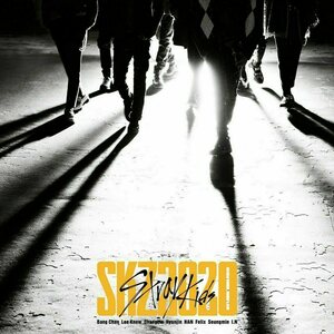 Stray Kids ‎– SKZ2020 CD (Limited Edition)