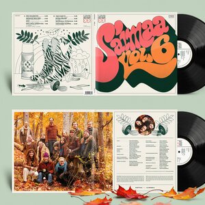 Saimaa – Vol.6 LP