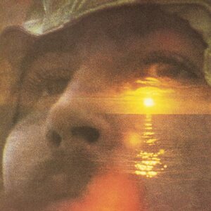 David Crosby – If I Could Only Remember My Name 2LP Analogue Productions