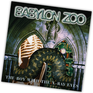 Music On Vinyl Babylon Zoo – The Boy With The X-Ray Eyes 2LP Coloured Vinyl