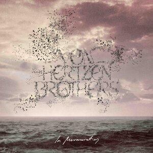 Von Hertzen Brothers – In Murmuration LP Coloured Vinyl