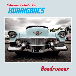 Various Artists – Estonian Tribute To Hurriganes - Roadrunner LP