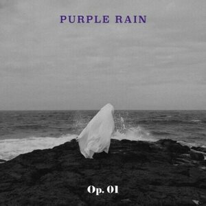 Purple Rain – Op. 01 CD
