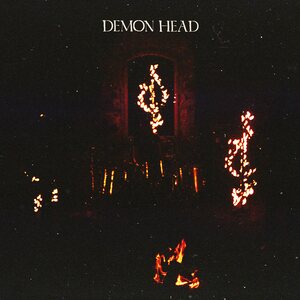 Demon Head – Through Holes Shine the Stars LP Purple/yellow/orange marble Vinyl