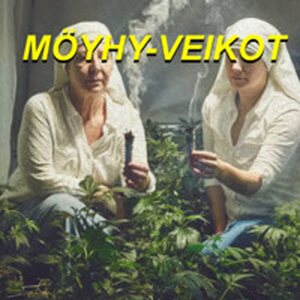 MÖYHY-VEIKOT – TOP 10 LEFFAT LP