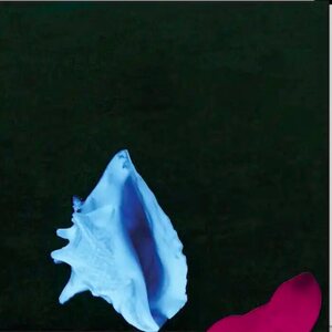 New Order – Touched by the Hand of God 12"