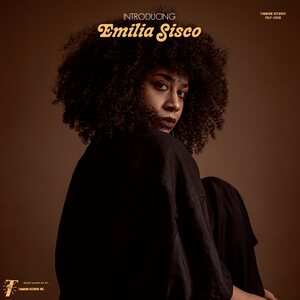 Emilia Sisco And Cold Diamond & Mink ‎– Introducing LP