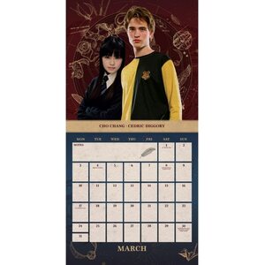 Harry Potter Square Calendar 2025