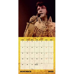 Elvis Square Calendar 2025