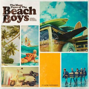 The Beach Boys – The Many Faces of the Beach Boys 2LP Coloured Vinyl