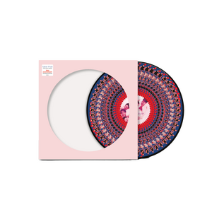 Take That – Everything Changes LP Zoetrope Picture Disc