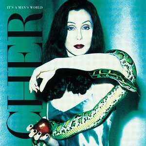 Cher – It's a Man's World 2LP