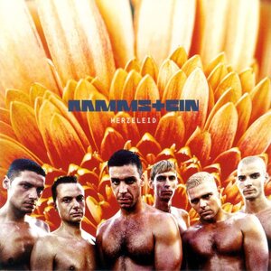 Rammstein ‎– Herzeleid 2LP