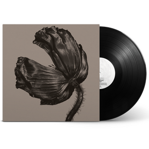 Pet Shop Boys – Release LP