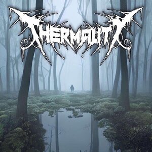 Thermality – Before I get to Rest LP Coloured Vinyl