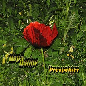 Hepa Halme – Prospektor CD
