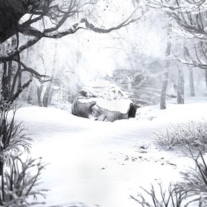 Weezer – SZNZ: Winter LP