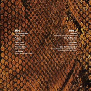 Harvey Mandel – The Snake LP Coloured Vinyl