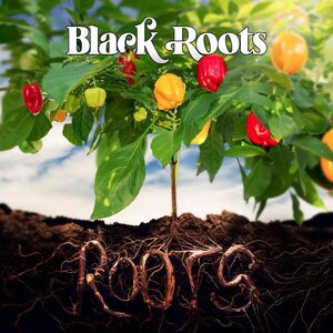 Black Roots – Roots LP