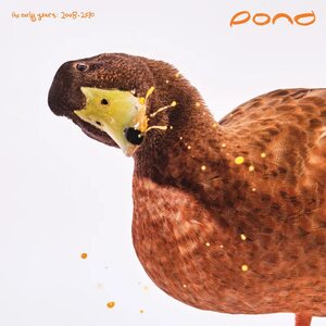 Pond – The Early Years: 2008 - 2010 2LP Coloured Vinyl