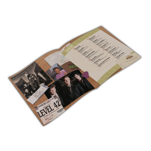 LEVEL 42 – Past Lives: The Best Of The RCA Years 2LP Coloured Vinyl