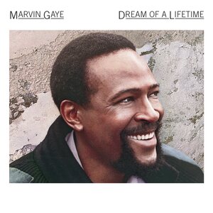 Marvin Gaye ‎– Dream Of A Lifetime CD
