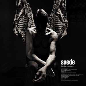 Suede – Antidepressants CD