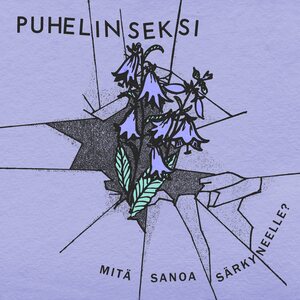 Puhelinseksi – Mitä sanoa särkyneelle? LP