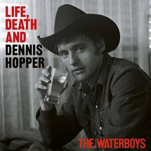 Waterboys – Life, Death And Dennis Hopper 2LP Psychedelic Waves Colored Vinyl