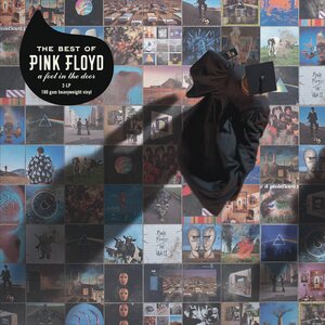 Pink Floyd – A Foot in the Door: The Best of Pink Floyd 2LP