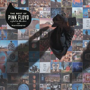 Pink Floyd – A Foot in the Door: The Best of Pink Floyd CD