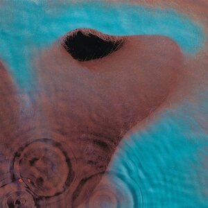 Pink Floyd – Meddle CD