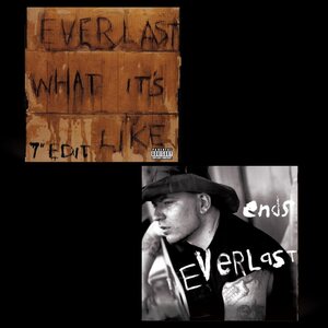 Everlast – What It's Like/Ends 7"