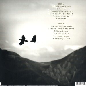 Rhiannon Giddens & Francesco Turrisi – They're Calling Me Home LP