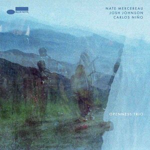 Nate Mercereau, Josh Johnson & Carlos Niño – Openness Trio LP