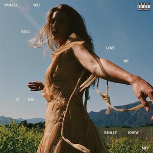 Fletcher – Would You Still Love Me If You Really Knew Me? LP