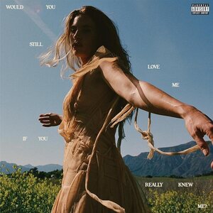 Fletcher – Would You Still Love Me If You Really Knew Me? CD