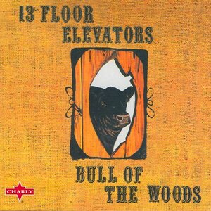 13th Floor Elevators – Bull Of The Woods CD