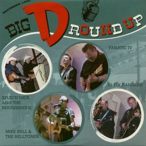 Various – Big D Round Up 10"+CD