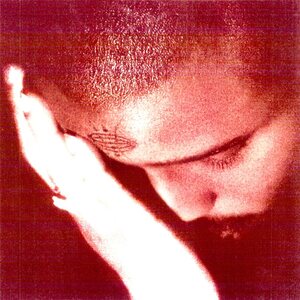 Nourished By Time– The Passionate Ones LP Crystal Clear Vinyl