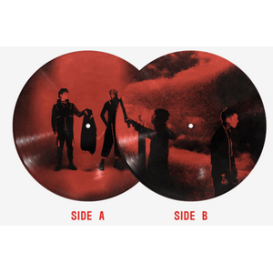 Twenty One Pilots – Breach LP Picture Disc