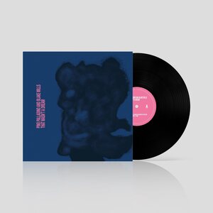 Pino Palladino & Blake Mills – That Wasn't A Dream LP