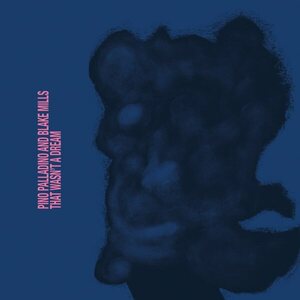 Pino Palladino & Blake Mills – That Wasn't A Dream LP